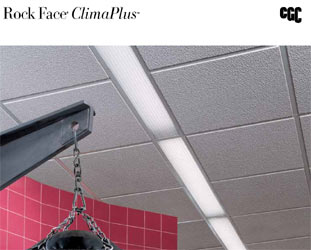 Rock Face Climaplus